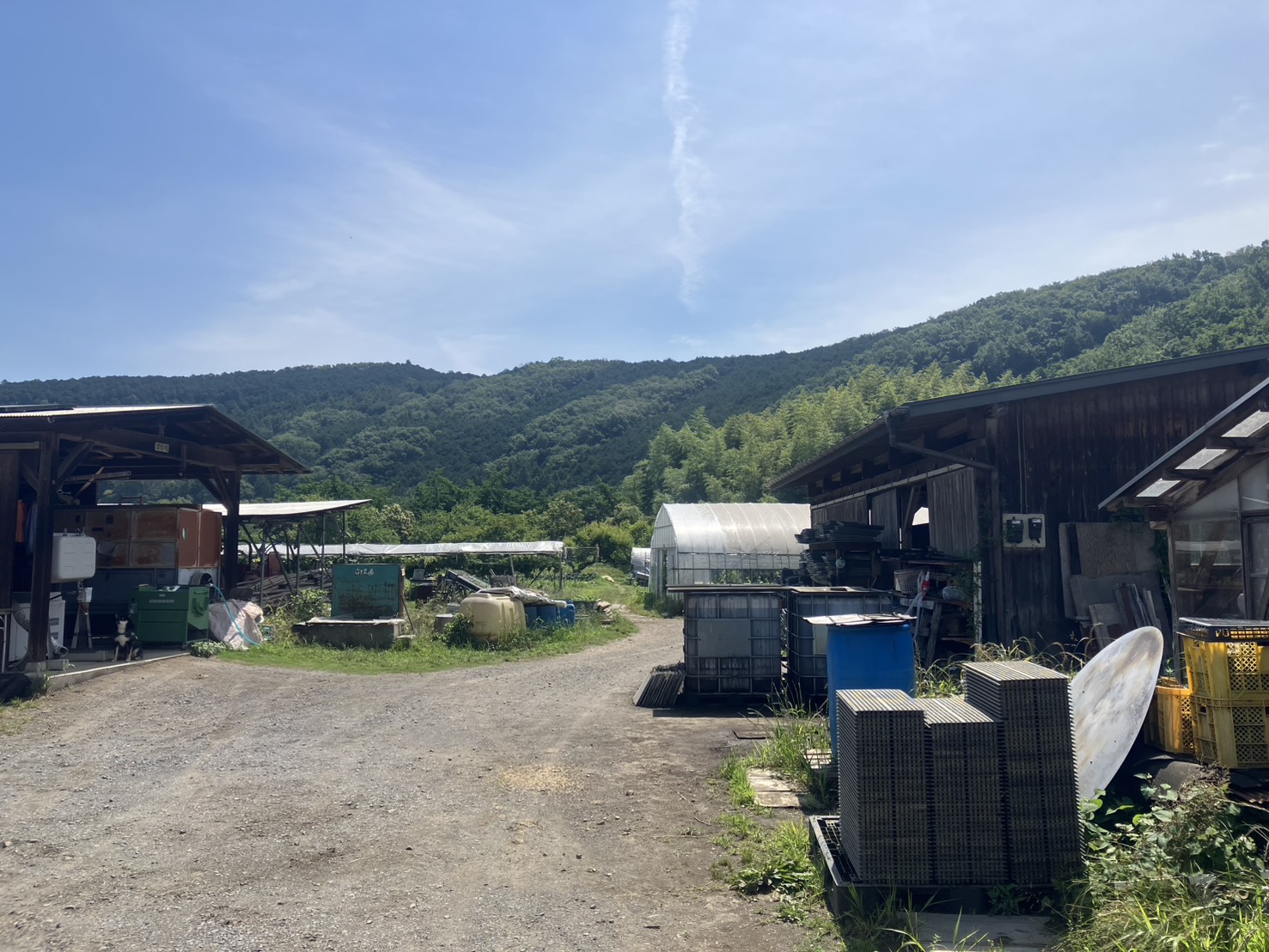 里山にいだかれた霜里農場の全景 - 埼玉県小川町下里