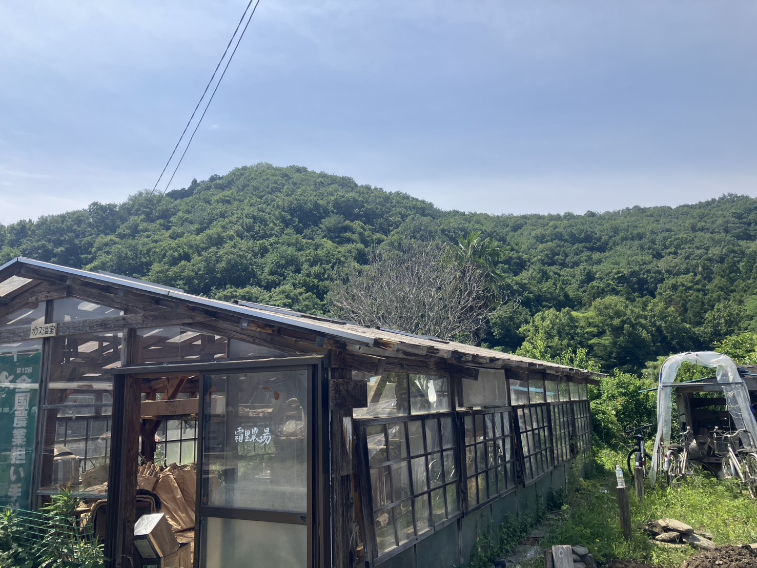 歳月を重ねた霜里農場の作業棟と背後の里山