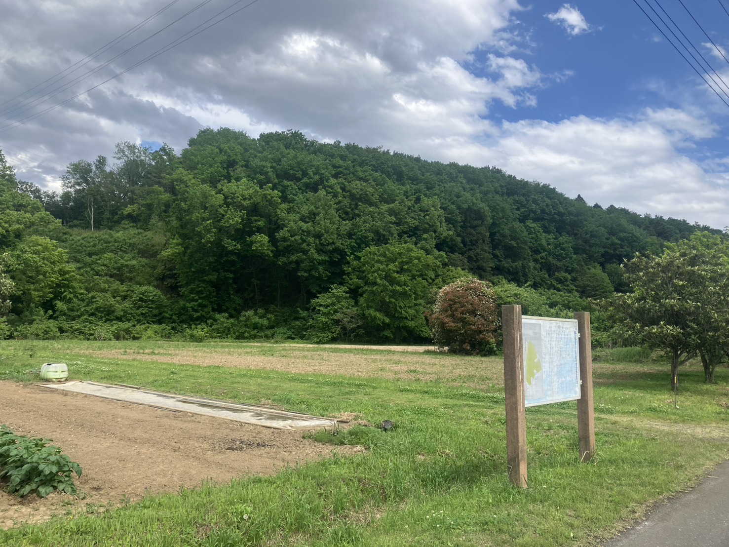 嵐山町シンボル林の全景と看板